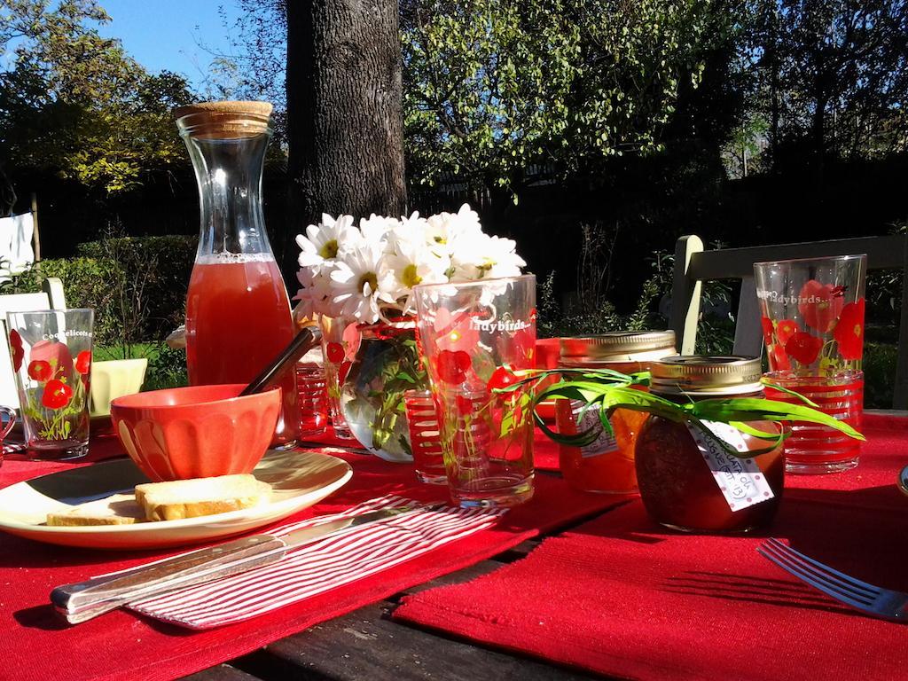 Bed and breakfast Il Pettirosso